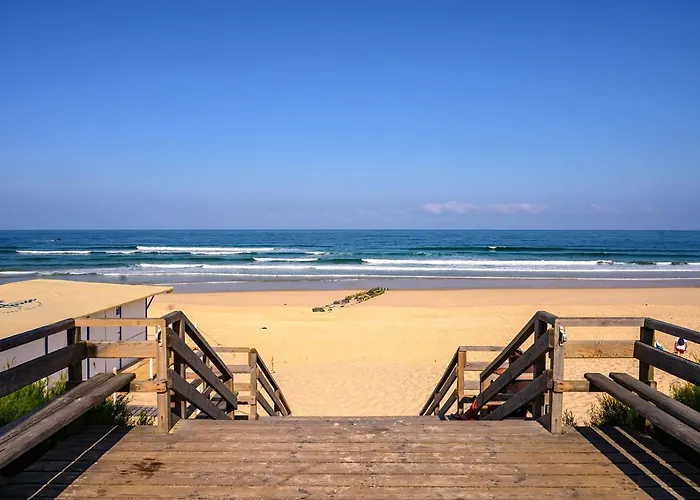 La Cabane de la Dune ~ Au bord de l'Océan